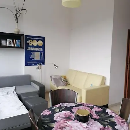 Appartement Przy Parku Klimatyzacja Parking Wifi *