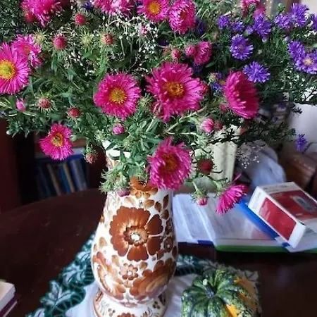 Przy Parku Klimatyzacja Parking Wifi Apartment Breslau