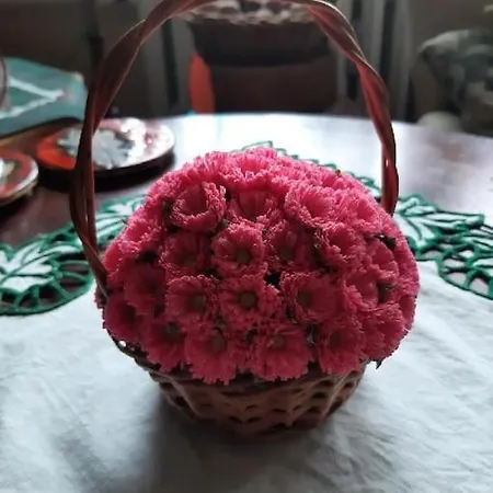 Przy Parku Klimatyzacja Parking Wifi