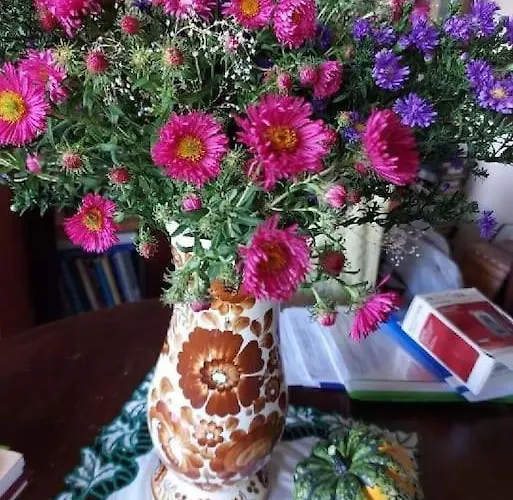 Przy Parku Klimatyzacja Parking Wifi Appartement Wrocław